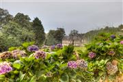 Manoir de Kertalg